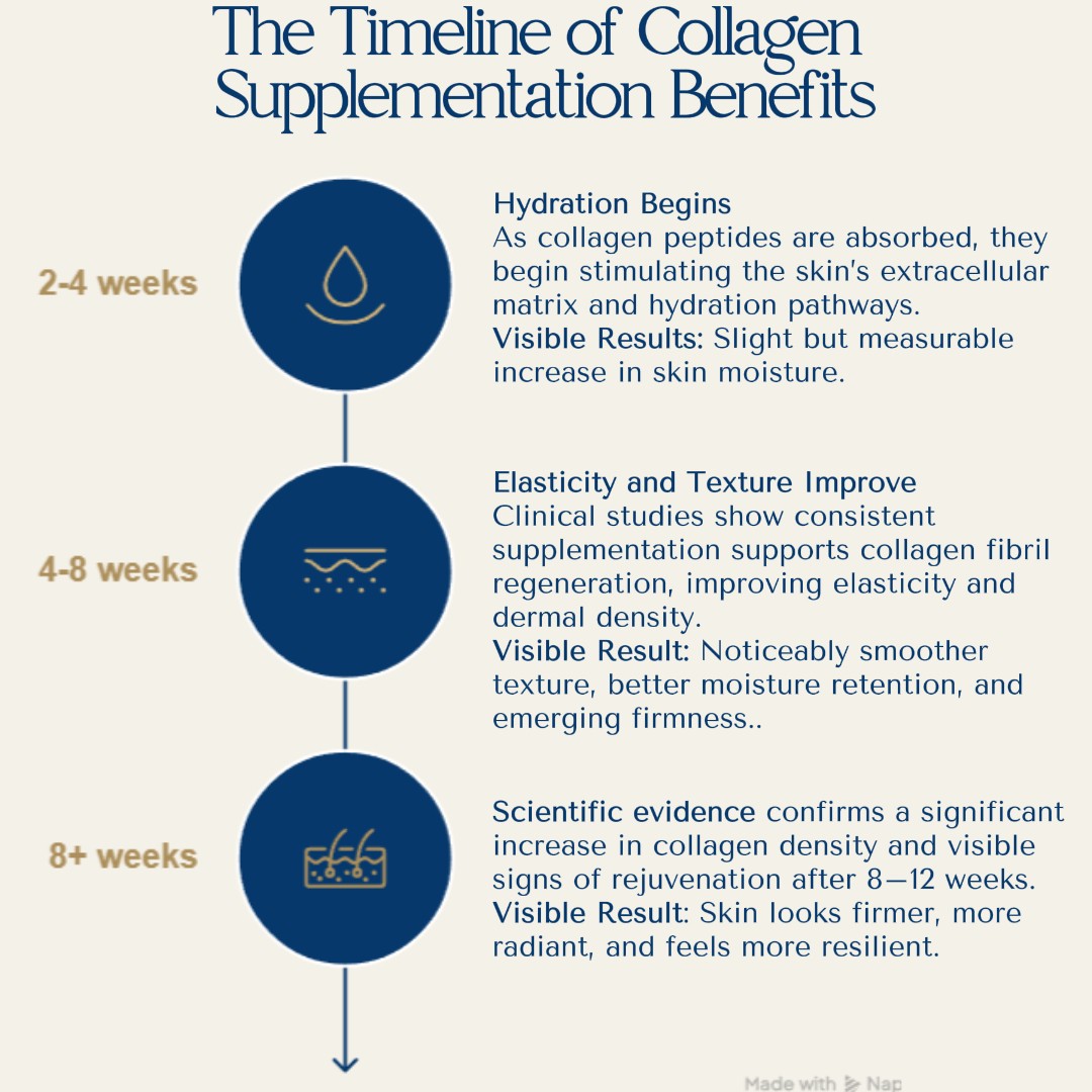 "Infographic titled ‘The Timeline of Collagen Supplementation Benefits’ showing research-backed data on collagen effects by week. Highlights include a 2–4 week hydration increase, 4–8 week improvements in elasticity and skin texture, and 8+ week gains in skin firmness and collagen density. Based on peer-reviewed studies, the visual is designed to educate on the expected results of collagen supplements over time."